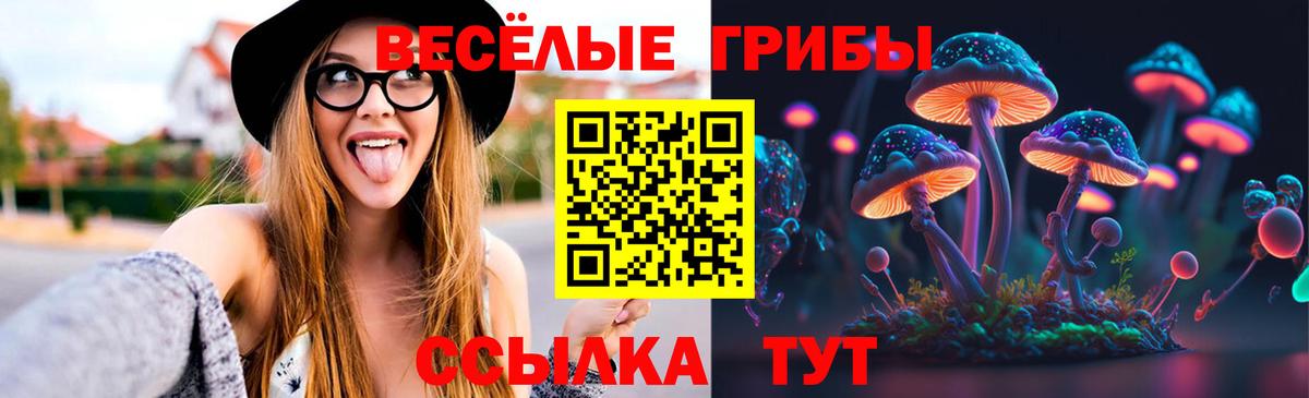 Псилоцибиновые грибы прущие грибы  Вход с VPN  Коломна  Псилоцибиновые грибы Magic Shrooms 